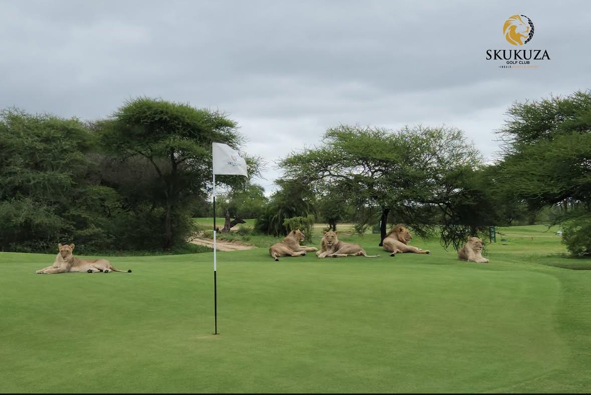 voyage-golf-safari-afrique-du-sud